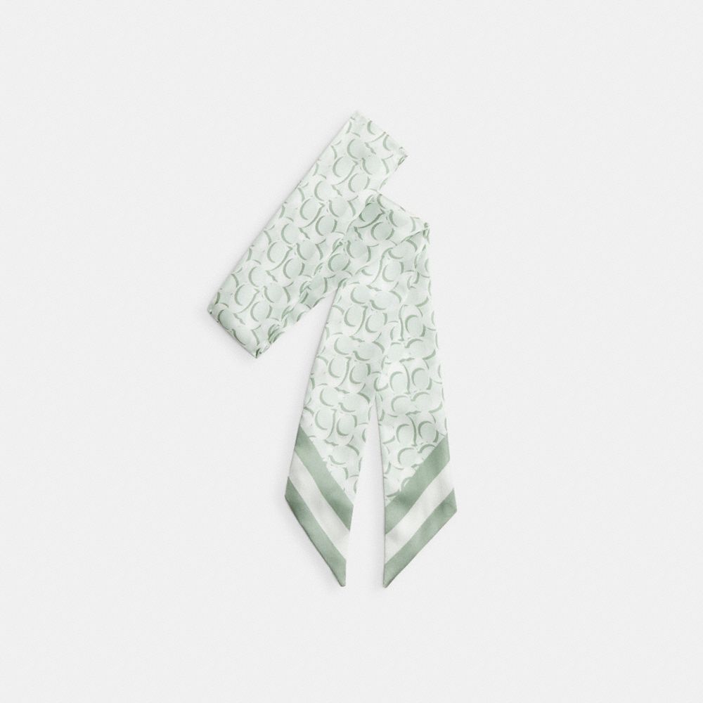 Signature Print Silk Skinny Scarf