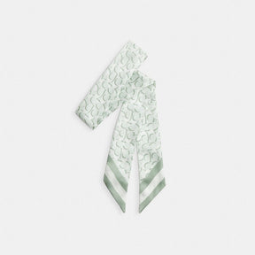 Signature Print Silk Skinny Scarf