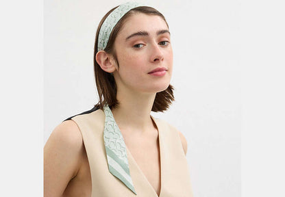 Signature Print Silk Skinny Scarf