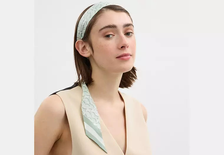 Sculpted C Cherries Print Silk Wide Skinny Scarf