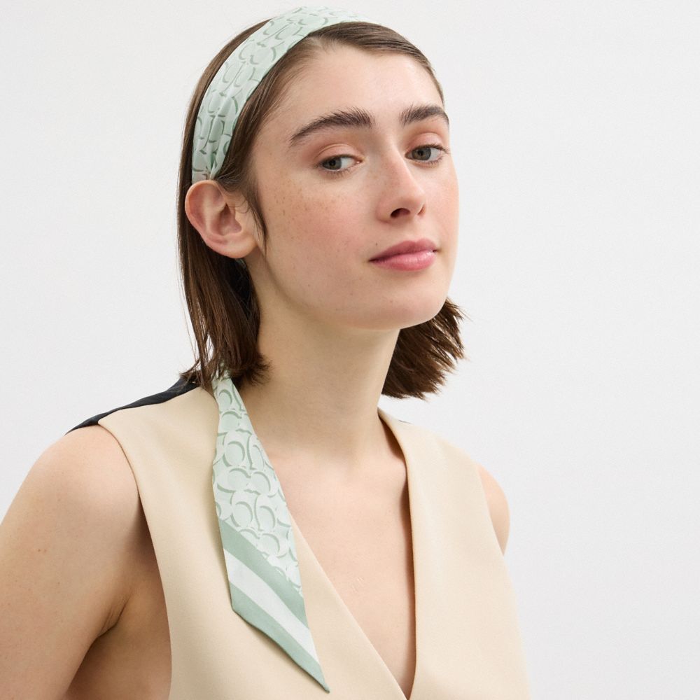 Signature Print Silk Skinny Scarf