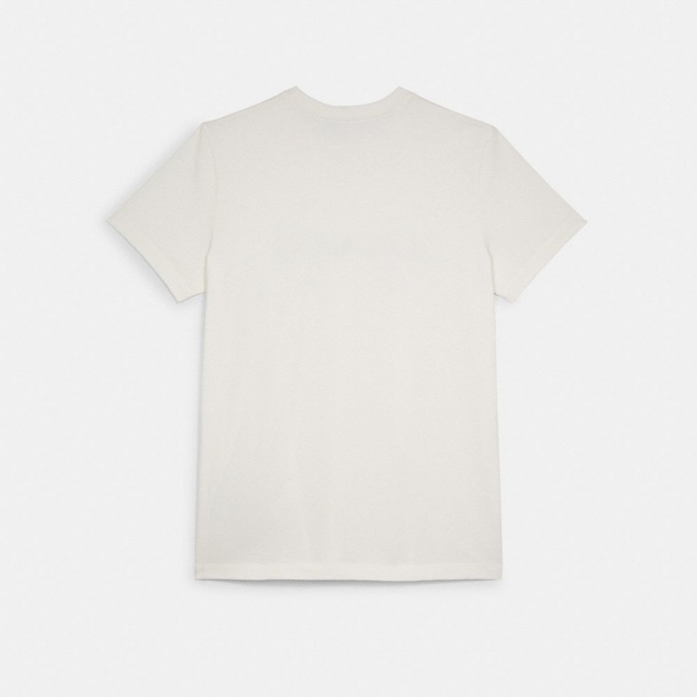 Essential T Shirt In Organic Cotton