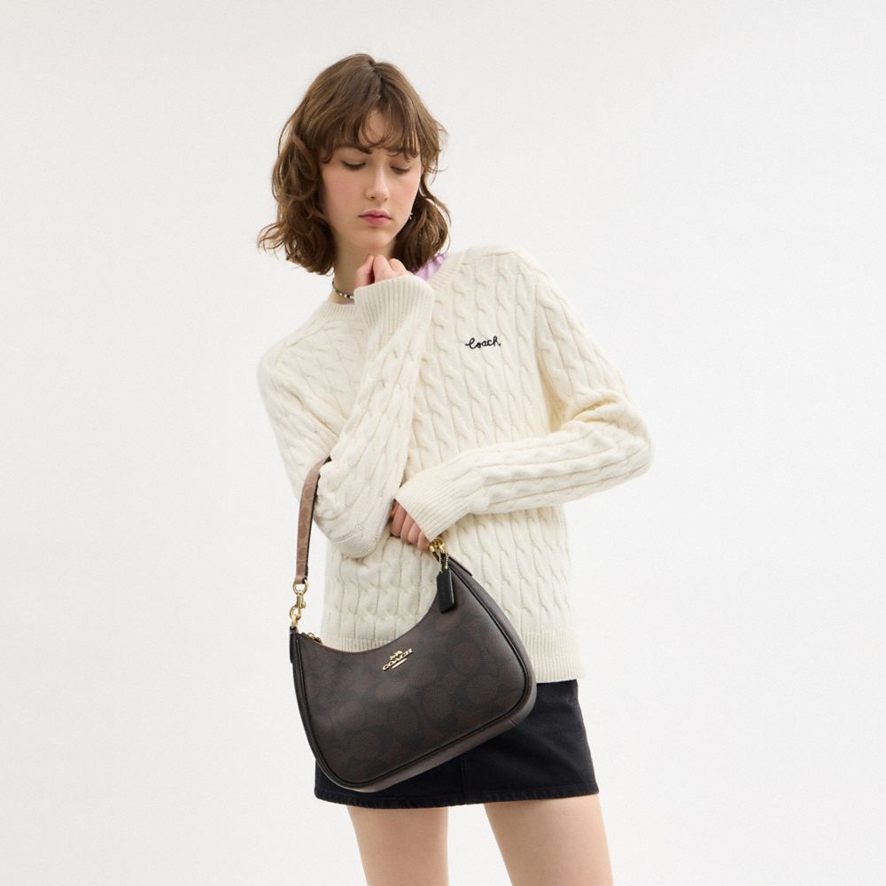 Teri Hobo Bag In Blocked Signature Canvas