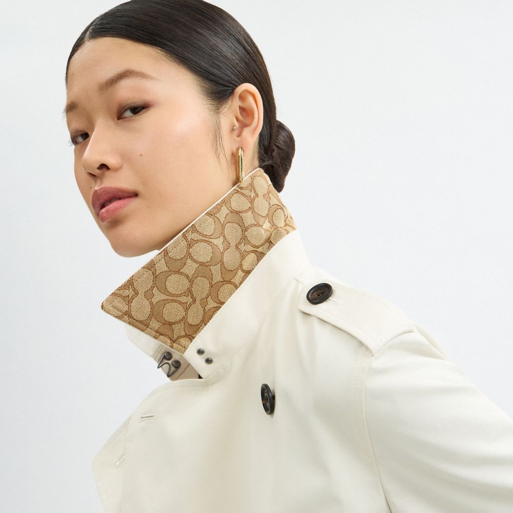 Long Trench