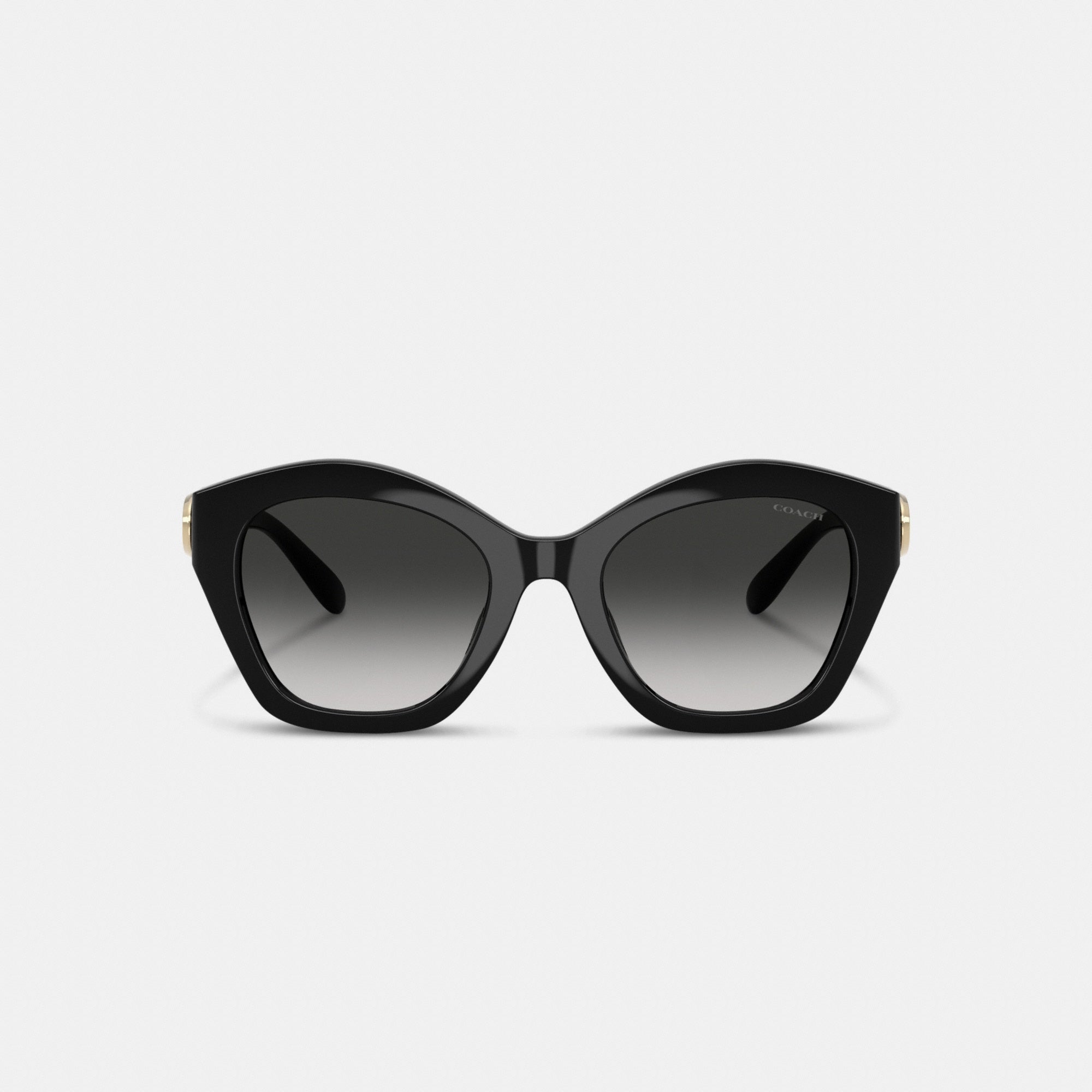 Maxi Sculpted C Oversized Geometric Sunglasses