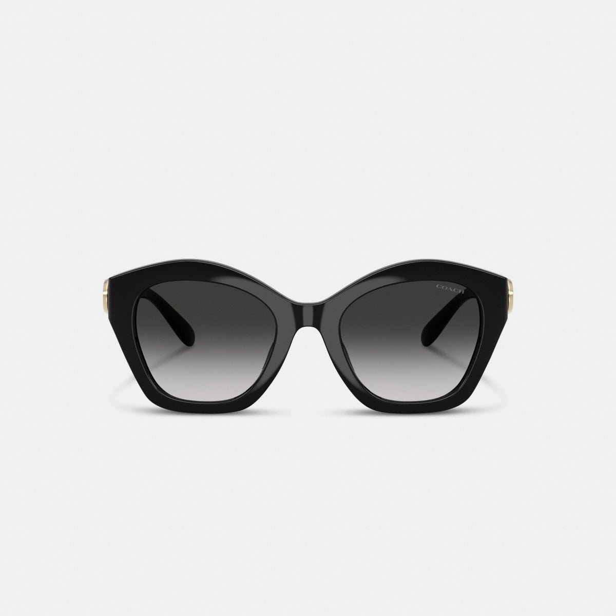 Maxi Sculpted C Oversized Geometric Sunglasses