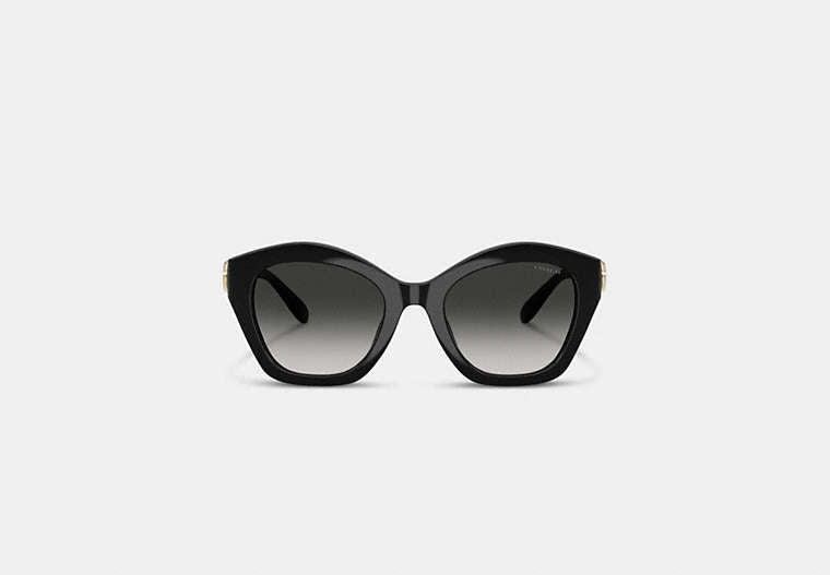 Maxi Sculpted C Oversized Geometric Sunglasses