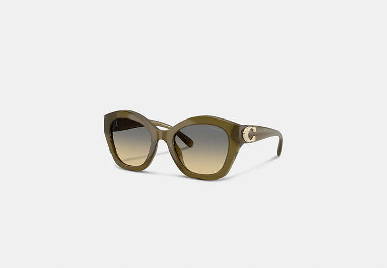 Maxi Sculpted C Oversized Geometric Sunglasses
