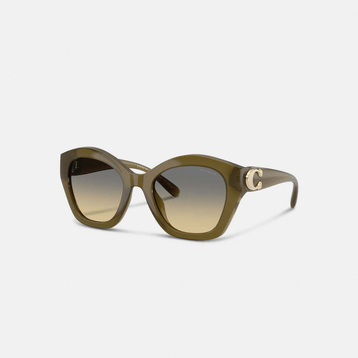 Maxi Sculpted C Oversized Geometric Sunglasses