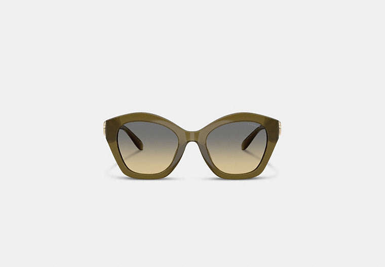 Maxi Sculpted C Oversized Geometric Sunglasses