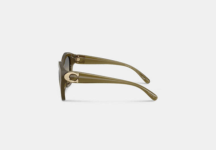 Maxi Sculpted C Oversized Geometric Sunglasses