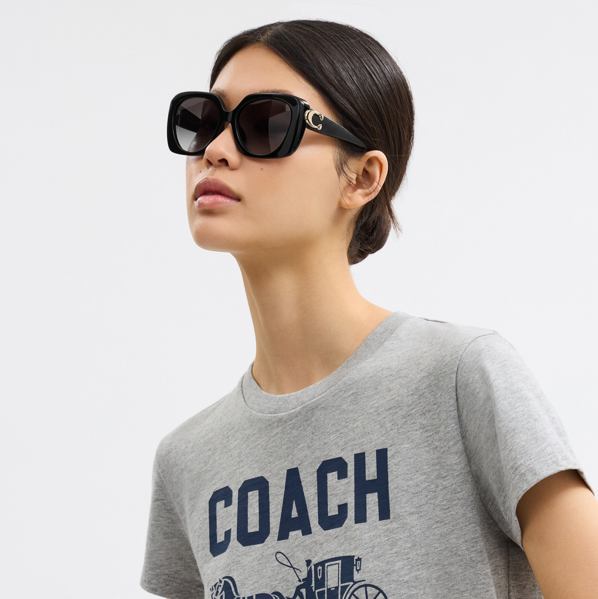 Maxi Sculpted C Oversized Square Sunglasses