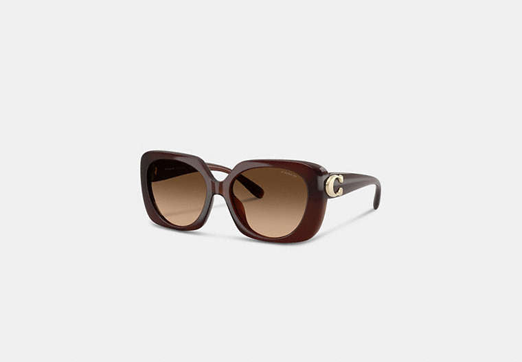 Maxi Sculpted C Oversized Square Sunglasses