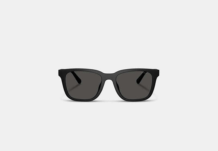 C Hardware Textured Temple Square Sunglasses