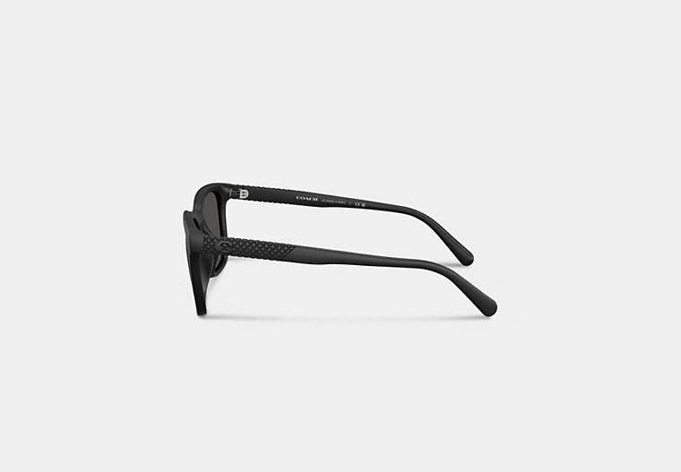 C Hardware Textured Temple Square Sunglasses
