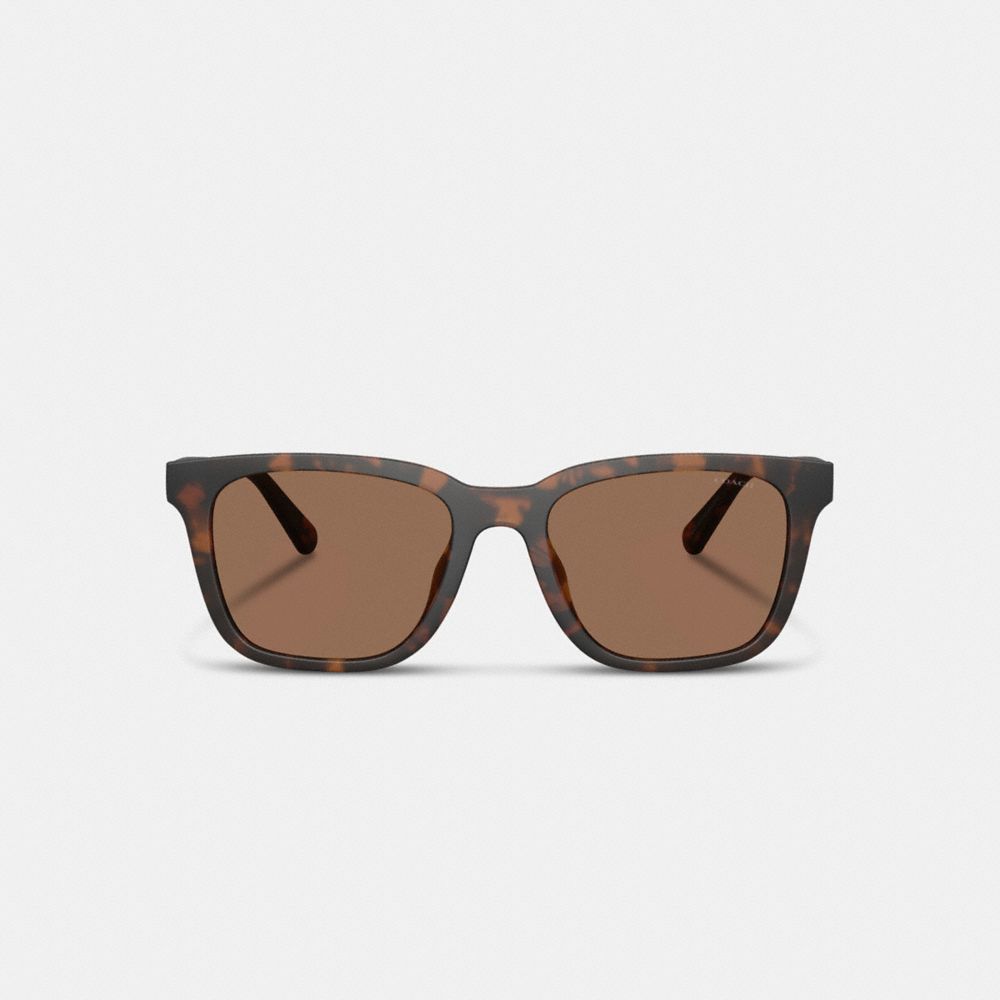 C Hardware Textured Temple Square Sunglasses