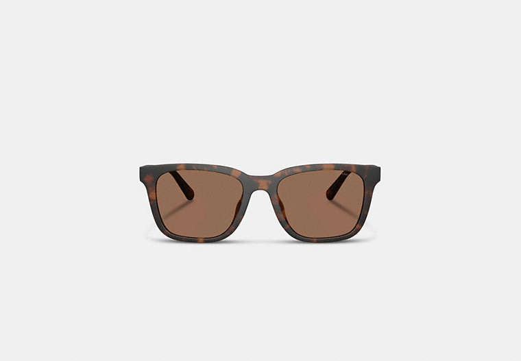 C Hardware Textured Temple Square Sunglasses