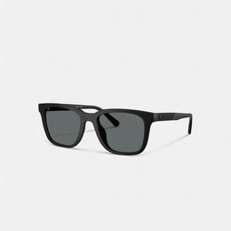 C Hardware Textured Temple Square Sunglasses