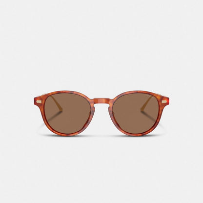 Signature Round Sunglasses