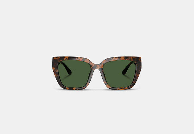 Oversized Cat Eye Sunglasses