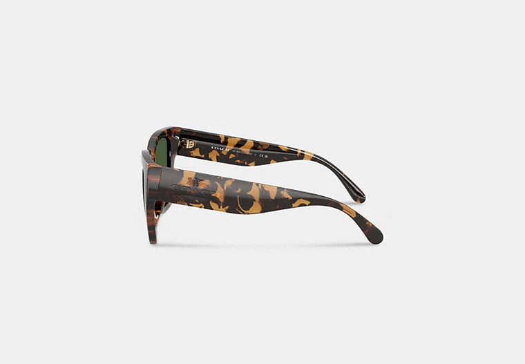 Oversized Cat Eye Sunglasses