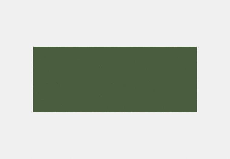 Oversized Cat Eye Sunglasses