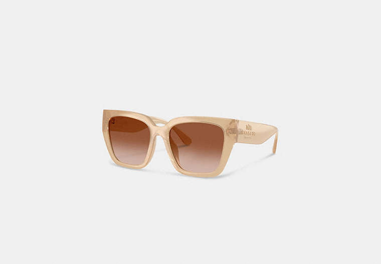 Oversized Cat Eye Sunglasses