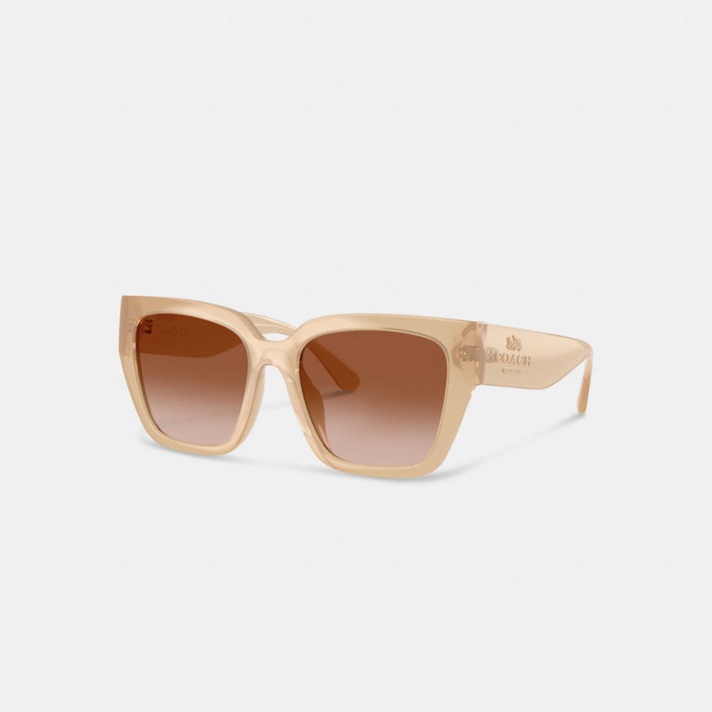 Oversized Cat Eye Sunglasses