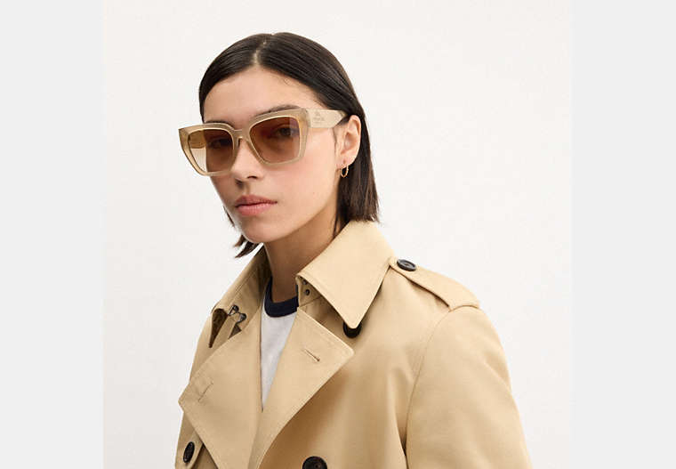 Oversized Cat Eye Sunglasses
