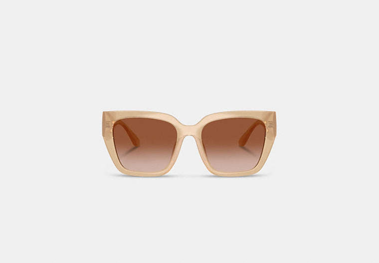Oversized Cat Eye Sunglasses