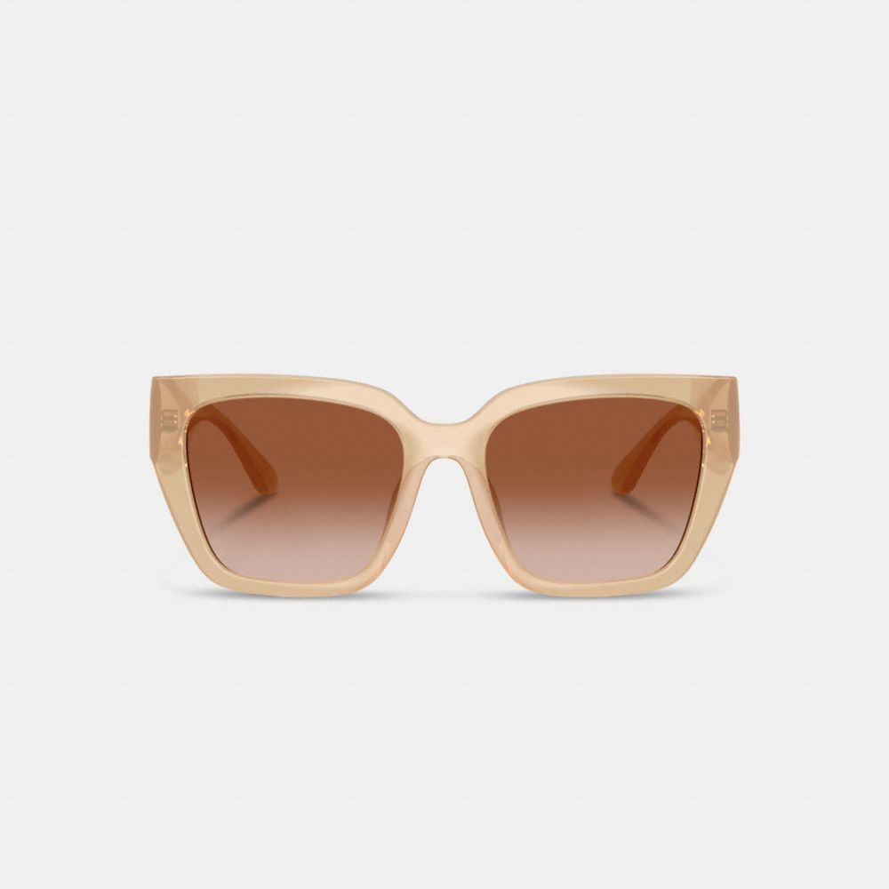 Oversized Cat Eye Sunglasses