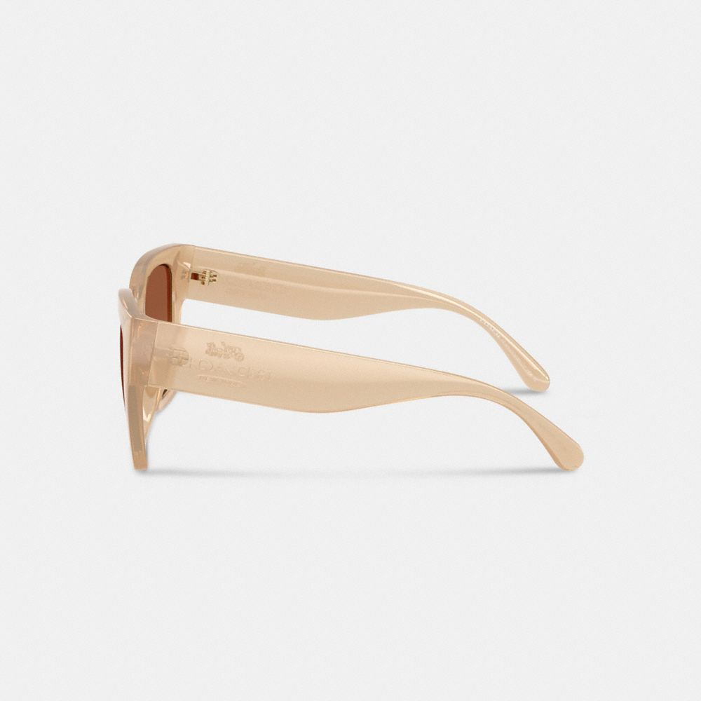 Oversized Cat Eye Sunglasses