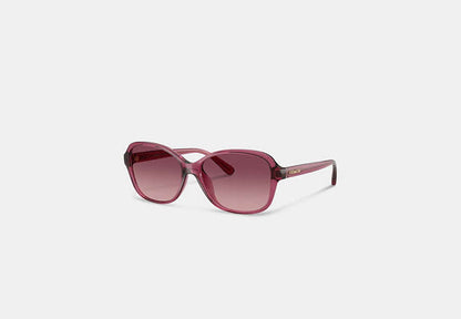Oversized Oval Sunglasses