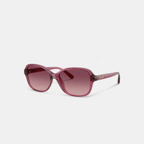 Oversized Oval Sunglasses
