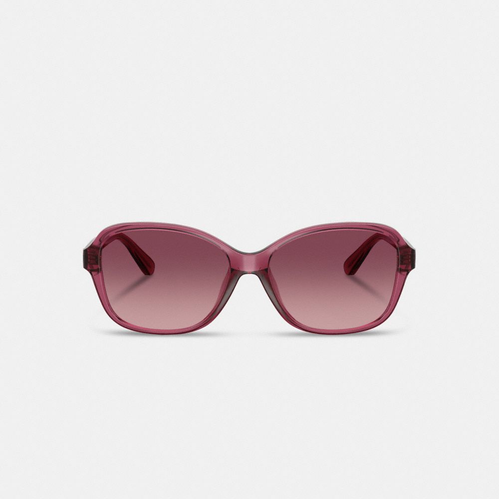 Oversized Oval Sunglasses