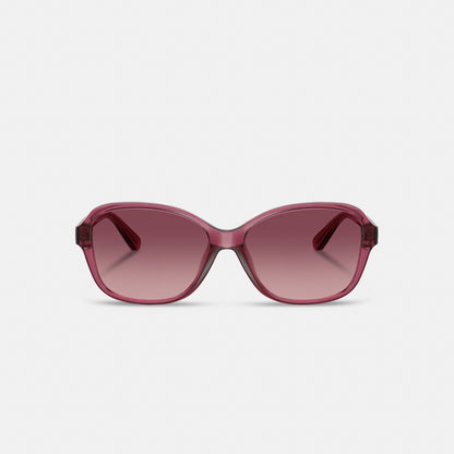 Oversized Oval Sunglasses