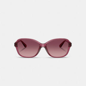 Oversized Oval Sunglasses
