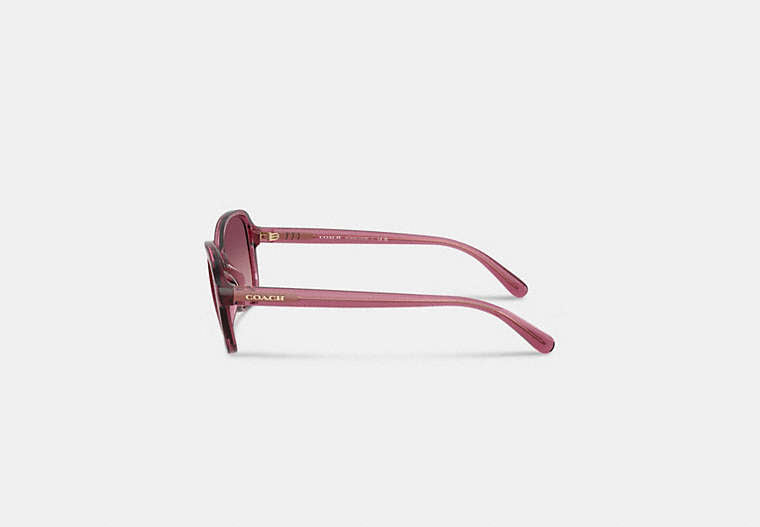 Oversized Oval Sunglasses