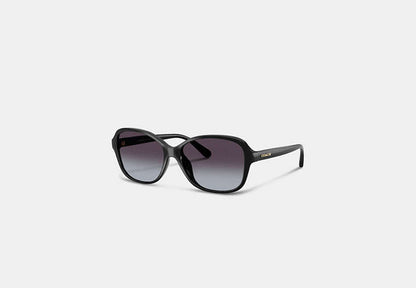 Oversized Oval Sunglasses