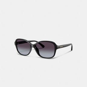 Oversized Oval Sunglasses