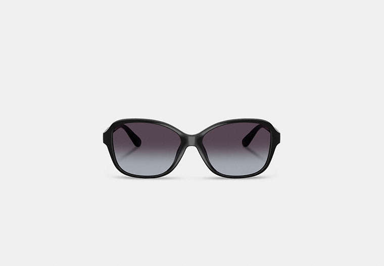 Oversized Oval Sunglasses