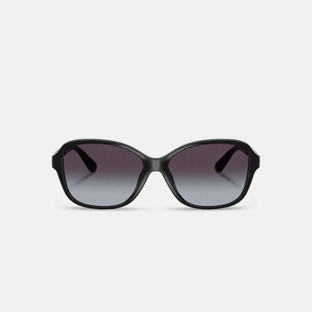 Oversized Oval Sunglasses