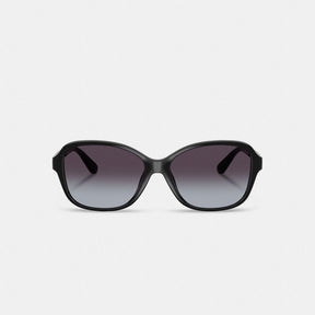 Oversized Oval Sunglasses
