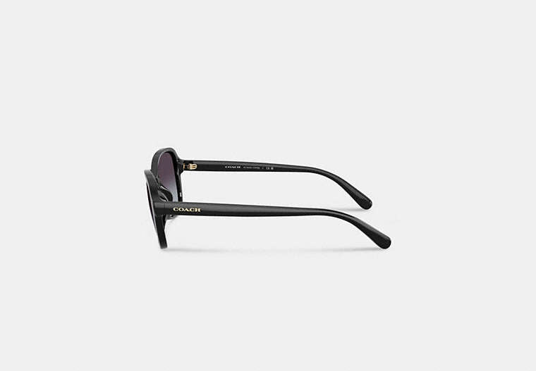 Oversized Oval Sunglasses