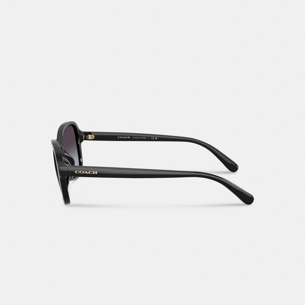 Oversized Oval Sunglasses