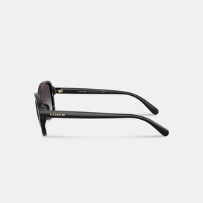 Oversized Oval Sunglasses