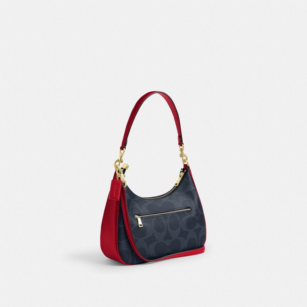 Teri Hobo Bag In Signature Canvas
