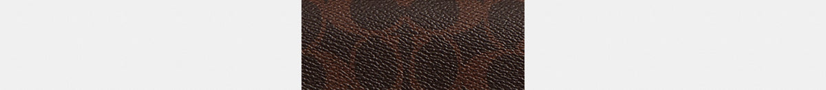 Brook Flap Chain Bag In Signature Canvas