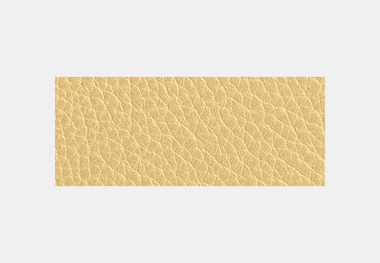Mila Small Flap Wallet