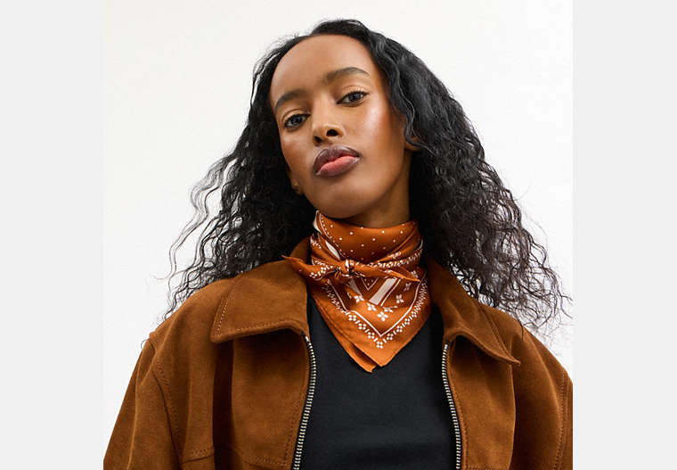 Horse And Carriage Dot Print Silk Bandana